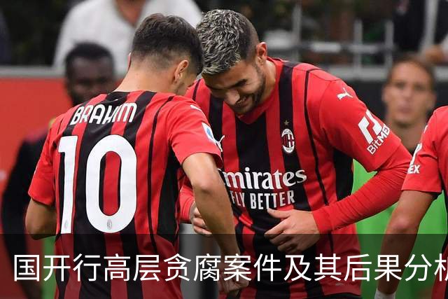 国开行高层贪腐案件及其后果分析