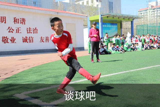 谈球吧公司简介图片
